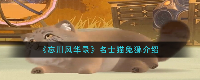 绪¼ʿè